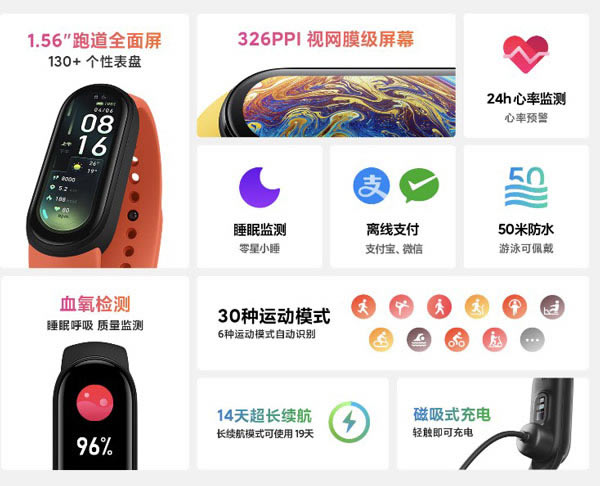 红米手表2和小米手环6有什么区别?红米手表2和小米手环6区别对比_硬件综合_硬件教程_本站