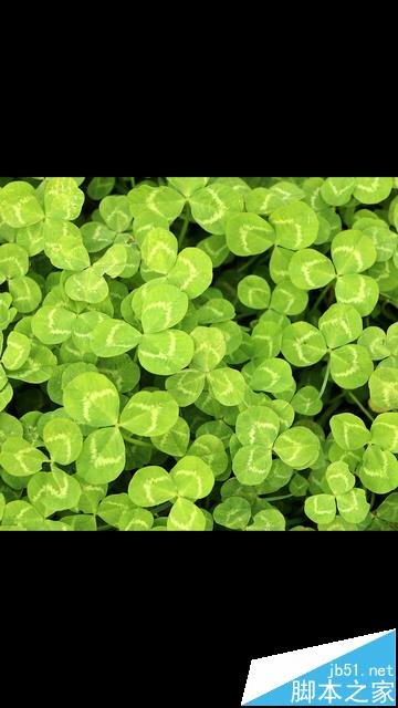 С��MIUI8�Դ���ͼƬ�༭��ô��ͼ?_��׿�ֻ�_�ֻ�ѧԺ_��վ