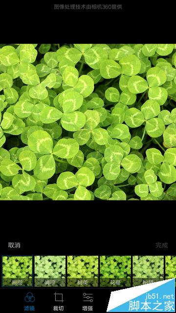 С��MIUI8�Դ���ͼƬ�༭��ô��ͼ?_��׿�ֻ�_�ֻ�ѧԺ_��վ