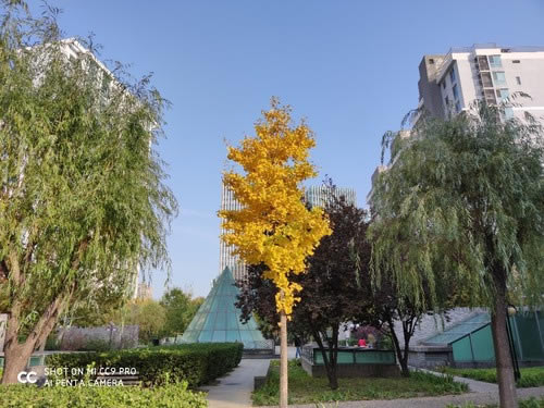 С��CC9 Proֵ��ֵ���� С��CC9 Pro�ֻ���ϸ����_�ֻ�����_�ֻ�ѧԺ_��վ