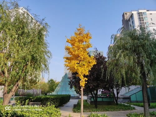 С��CC9 Proֵ��ֵ���� С��CC9 Pro�ֻ���ϸ����_�ֻ�����_�ֻ�ѧԺ_��վ