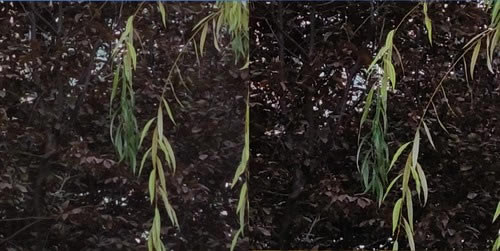 С��CC9 Proֵ��ֵ���� С��CC9 Pro�ֻ���ϸ����_�ֻ�����_�ֻ�ѧԺ_��վ