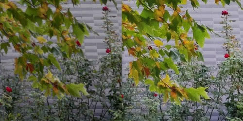 С��CC9 Proֵ��ֵ���� С��CC9 Pro�ֻ���ϸ����_�ֻ�����_�ֻ�ѧԺ_��վ