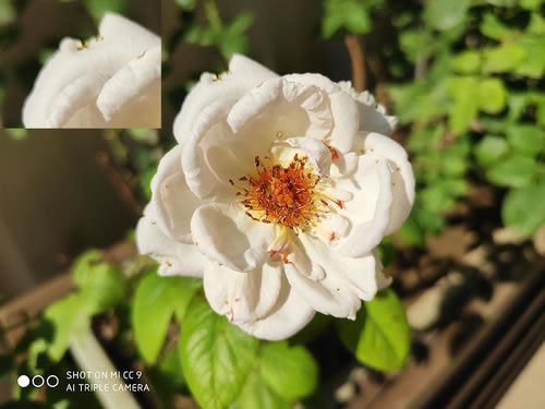 С��CC9�ֻ�ֵ������ С��CC9��ϸ����_�ֻ�����_�ֻ�ѧԺ_��վ