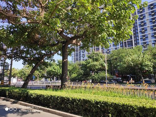 С��CC9�ֻ�ֵ������ С��CC9��ϸ����_�ֻ�����_�ֻ�ѧԺ_��վ