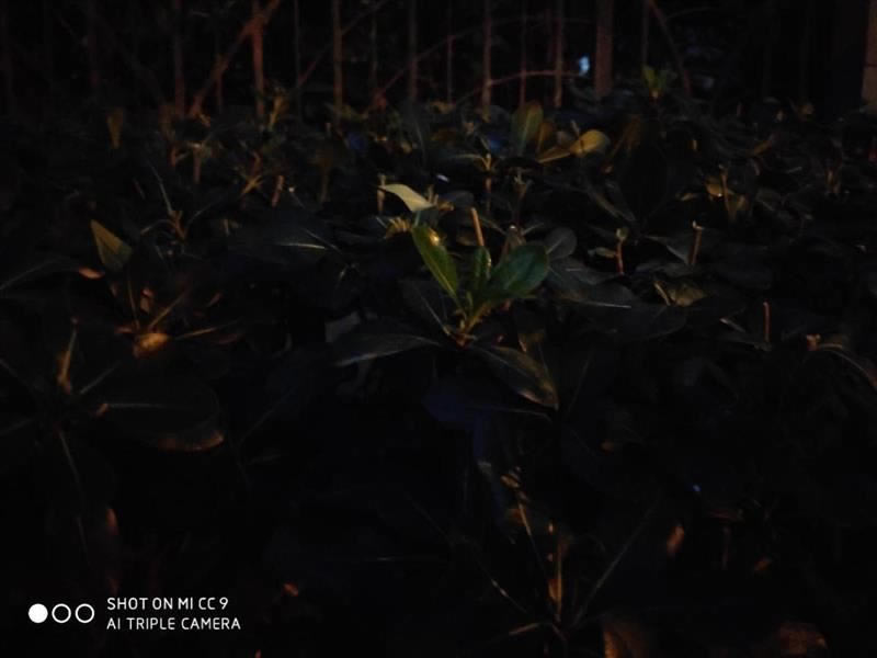 С��CC9�ֻ�������� С��CC9�ֻ�ȫ������_�ֻ�����_�ֻ�ѧԺ_��վ