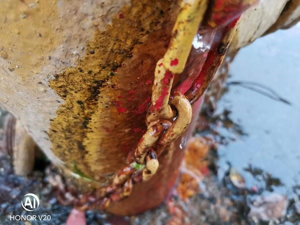 OPPO Reno、荣耀V20和小米9手机拍照效果对比评测_手机评测_手机学院_本站
