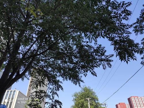 С��CC9�ֻ�ֵ������ С��CC9��ϸ����_�ֻ�����_�ֻ�ѧԺ_��վ