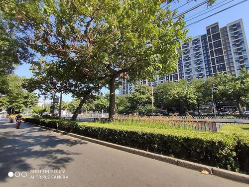 С��CC9�ֻ�ֵ������ С��CC9��ϸ����_�ֻ�����_�ֻ�ѧԺ_��վ