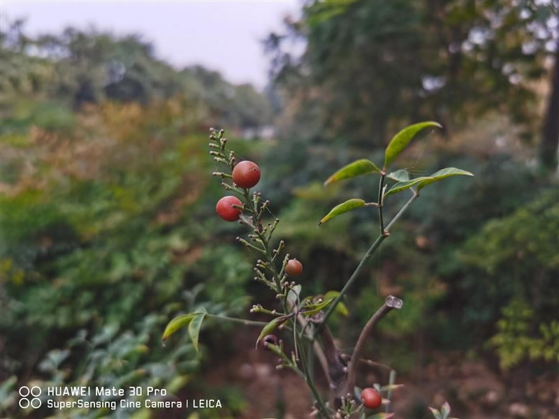 С��CC9 Pro�ʺ������� С��CC9 Pro�ֻ����/����/����/ϵͳ/����/������ʹ����������_�ֻ�����_�ֻ�ѧԺ_��վ