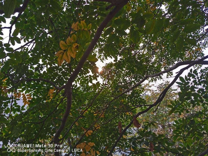 С��CC9 Pro�ʺ������� С��CC9 Pro�ֻ����/����/����/ϵͳ/����/������ʹ����������_�ֻ�����_�ֻ�ѧԺ_��վ