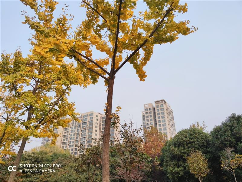 С��CC9 Pro�ʺ������� С��CC9 Pro�ֻ����/����/����/ϵͳ/����/������ʹ����������_�ֻ�����_�ֻ�ѧԺ_��վ