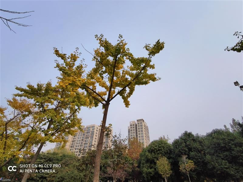 С��CC9 Pro�ʺ������� С��CC9 Pro�ֻ����/����/����/ϵͳ/����/������ʹ����������_�ֻ�����_�ֻ�ѧԺ_��վ