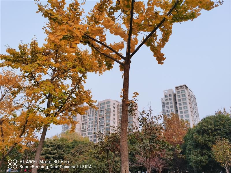 С��CC9 Pro�ʺ������� С��CC9 Pro�ֻ����/����/����/ϵͳ/����/������ʹ����������_�ֻ�����_�ֻ�ѧԺ_��վ