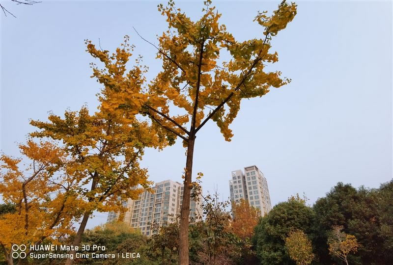 С��CC9 Pro�ʺ������� С��CC9 Pro�ֻ����/����/����/ϵͳ/����/������ʹ����������_�ֻ�����_�ֻ�ѧԺ_��վ