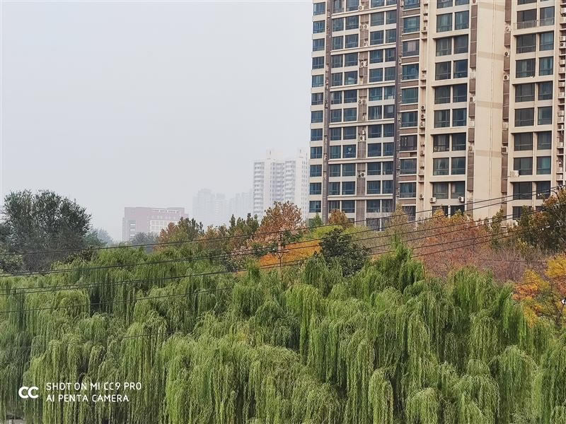 С��CC9 Pro�ʺ������� С��CC9 Pro�ֻ����/����/����/ϵͳ/����/������ʹ����������_�ֻ�����_�ֻ�ѧԺ_��վ