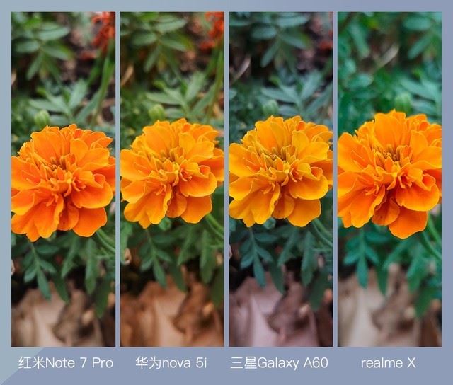 4款手机简评 红米Note7Pro、华为nova5i、三星GalaxyA60、realmeX拍照对比_手机评测_手机学院_本站