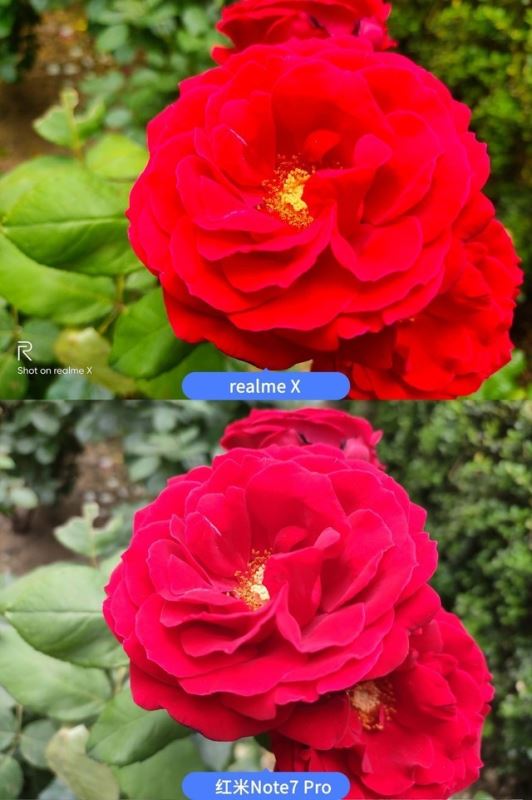 realme X和红米Note7 Pro哪个拍照好 realme X红米Note7 Pro拍照效果全面评测_手机评测_手机学院_本站