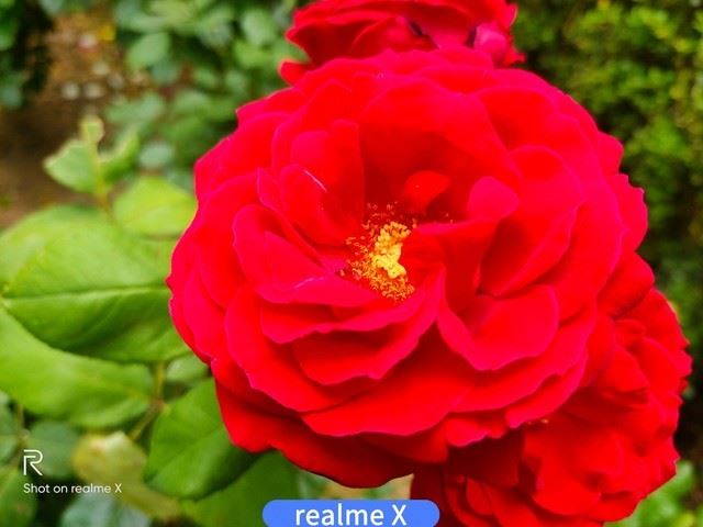 realme X和红米Note7 Pro哪个拍照好 realme X红米Note7 Pro拍照效果全面评测_手机评测_手机学院_本站