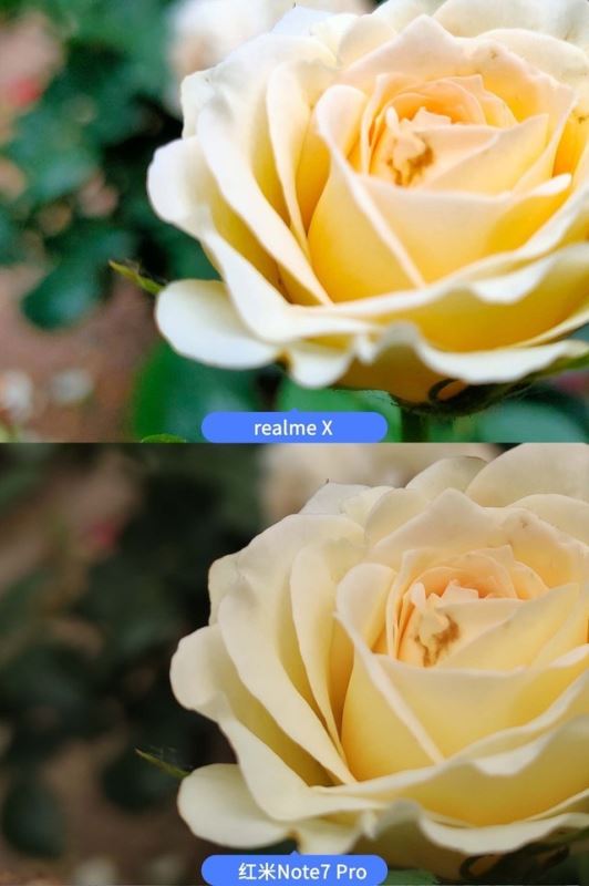 realme X和红米Note7 Pro哪个拍照好 realme X红米Note7 Pro拍照效果全面评测_手机评测_手机学院_本站