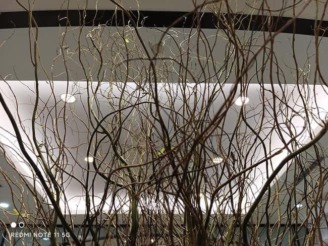 Redmi Note11怎么样 Redmi Note11体验评测_手机评测_本站