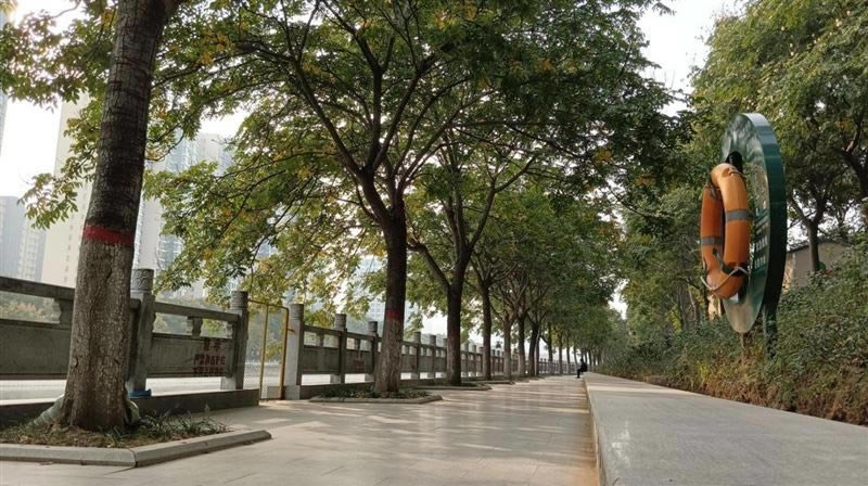 RedmiNote11ֵ RedmiNote11ֻȫλͼ_ֻ_ֻѧԺ_վ