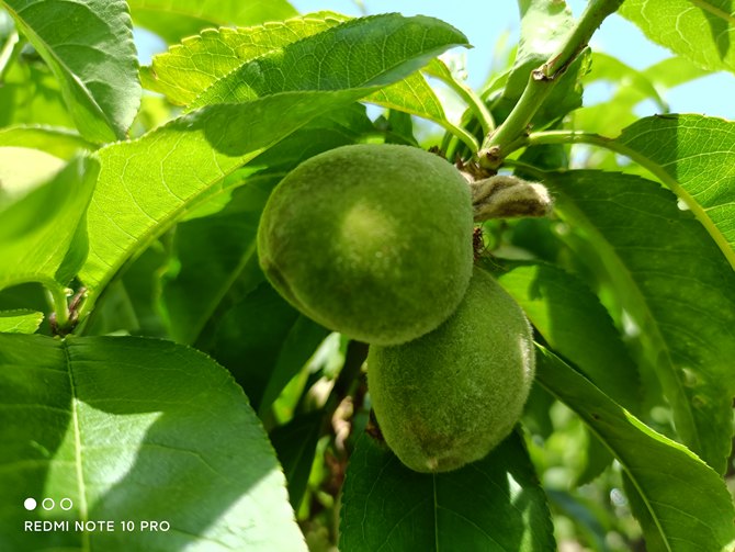 Redmi Note 10 Pro体验如何 Redmi Note 10 Pro详细评测_手机评测_手机学院_本站