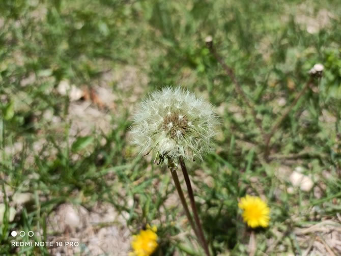 Redmi Note 10 Pro体验如何 Redmi Note 10 Pro详细评测_手机评测_手机学院_本站