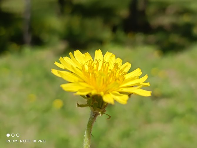 Redmi Note 10 Pro Redmi Note 10 Proϸ_ֻ_ֻѧԺ_վ