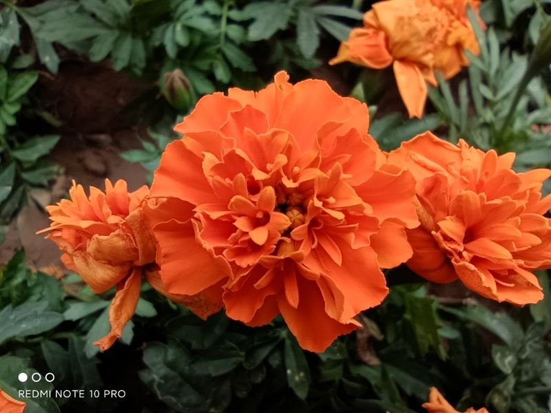 Redmi Note 10 Pro好不好用 Redmi Note 10 Pro使用体验_手机评测_手机学院_本站