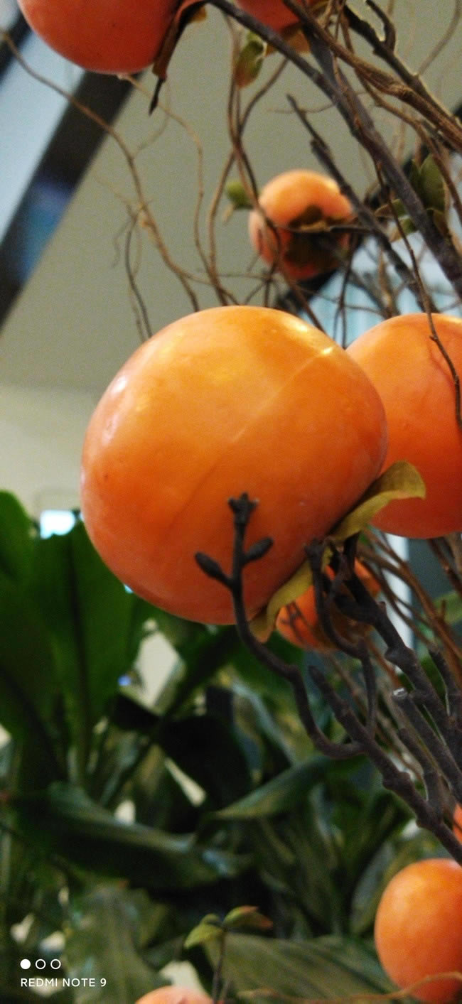 Redmi Note 9 4G体验如何 Redmi Note 9 4G体验评测_手机评测_手机学院_本站