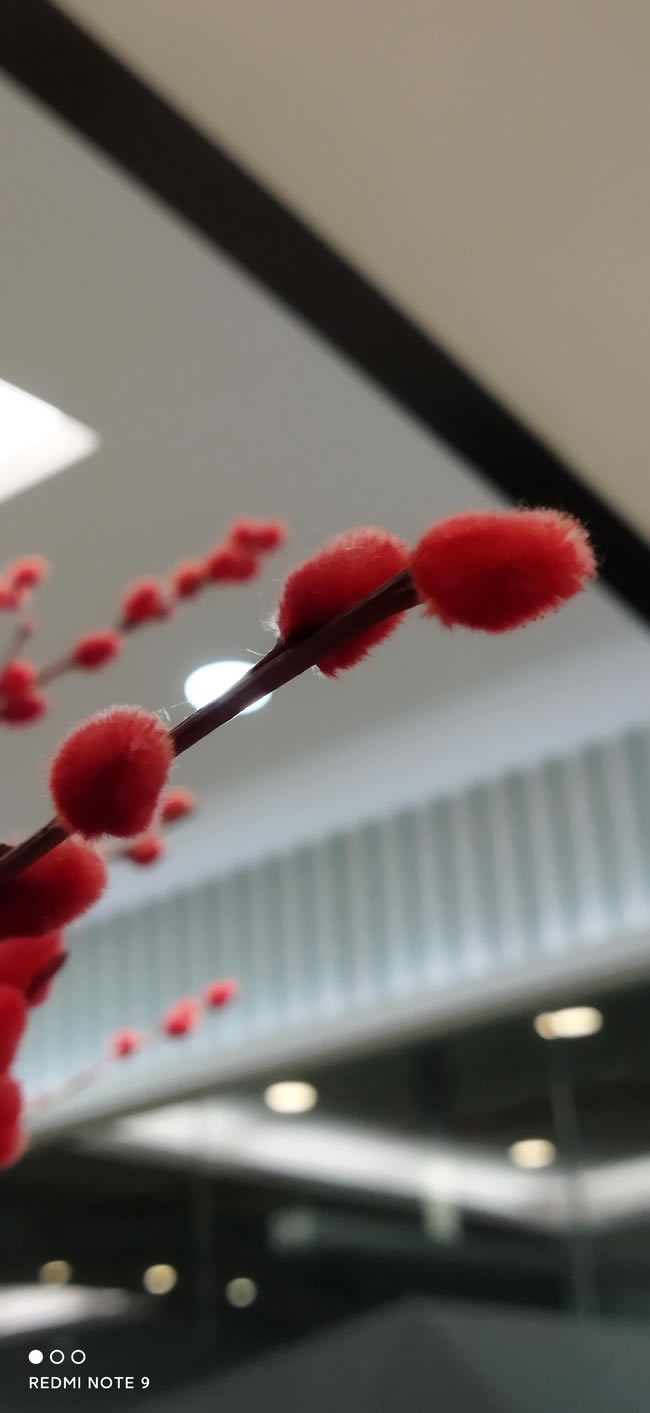 Redmi Note 9 4G体验如何 Redmi Note 9 4G体验评测_手机评测_手机学院_本站