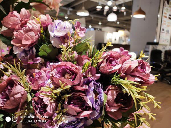 红米Redmi Note7Pro和PhoneX拍照效果对比_手机评测_手机学院_本站