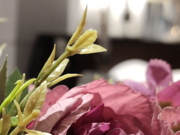 红米Redmi Note7Pro和PhoneX拍照效果对比_手机评测_手机学院_本站