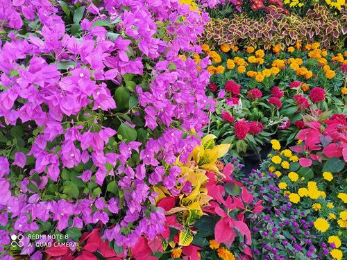 Redmi Note8值得买吗 Redmi Note8手机上手体验及评测_手机评测_手机学院_本站