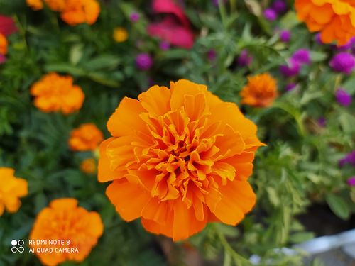 Redmi Note8值得买吗 Redmi Note8手机上手体验及评测_手机评测_手机学院_本站