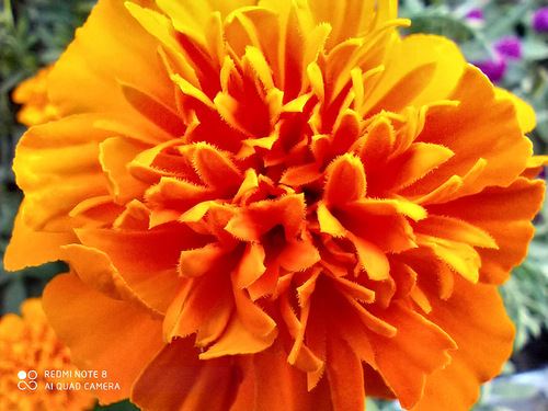 Redmi Note8值得买吗 Redmi Note8手机上手体验及评测_手机评测_手机学院_本站