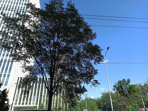 Redmi Note8Pro手机值得买吗 Redmi Note8Pro手机详细评测_手机评测_手机学院_本站