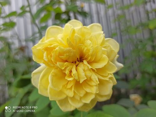 Redmi Note8Pro手机值得买吗 Redmi Note8Pro手机详细评测_手机评测_手机学院_本站