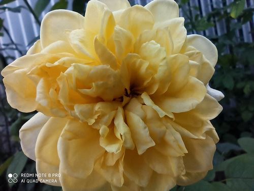 Redmi Note8Pro手机值得买吗 Redmi Note8Pro手机详细评测_手机评测_手机学院_本站