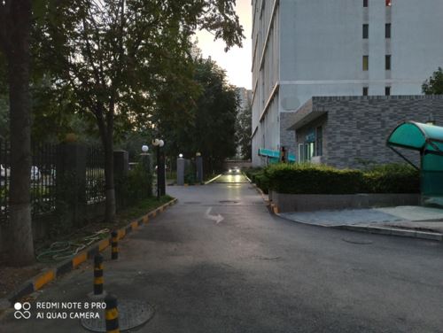 荣耀9XPRO和Redmi Note8Pro哪款拍照好 两款手机拍照对比_手机评测_手机学院_本站