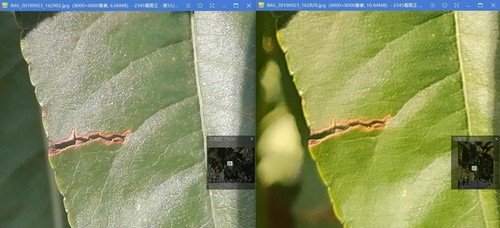 ҫPlay3Redmi Note8Ŀպ ҫPlay3Redmi Note8չܶԱ_ֻ_ֻѧԺ_վ