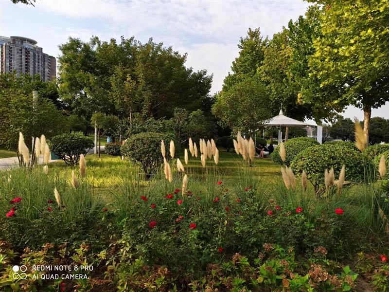 Note8Proֵֻ Note8Proֻȫ_ֻ_ֻѧԺ_վ