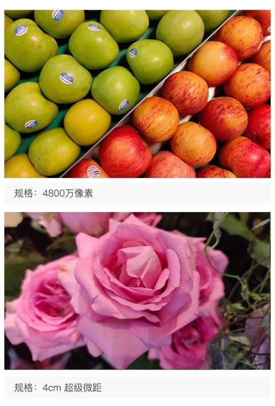 realme QͺNote8Ŀ realme QͺNote8Ա_ֻ_ֻѧԺ_վ