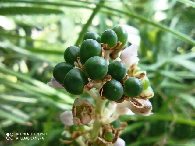 רҵƽ̨ΪÓÎÏ·¶øÉú Redmi Note 8 ProÐÔÄÜÌåÑéÆÀ²â_ÊÖ»úÆÀ²â_ÊÖ»úѧԺ_±¾Õ¾