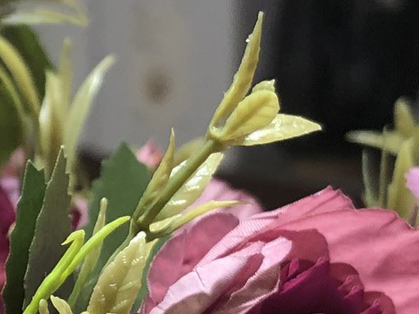 红米Redmi Note7Pro和PhoneX拍照效果对比_手机评测_手机学院_本站