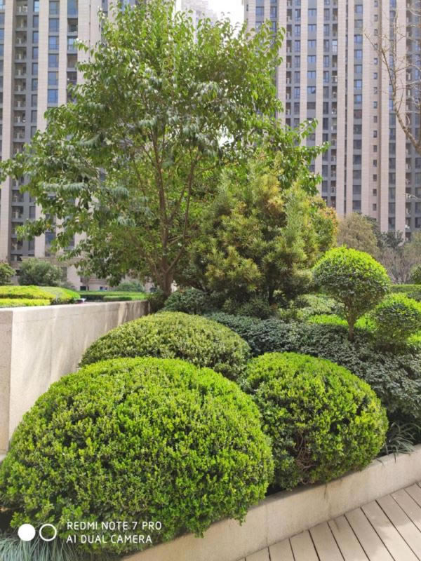 Redmi Note7 Pro IMX586+675ǧԪȫ_ֻ_ֻѧԺ_վ