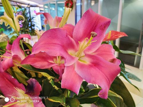 红米Note7手机值得购买吗?红米Note7手机全方位评测_手机评测_手机学院_本站