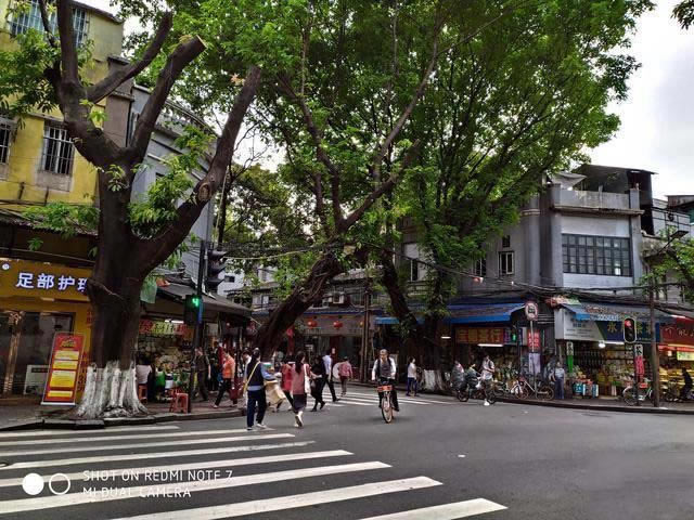 红米Note7拍照效果怎么样 红米Note 7相机评测_手机评测_手机学院_本站