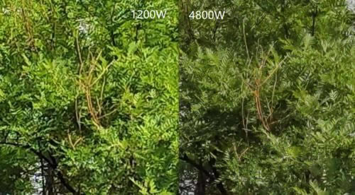 Redmi K20 Proֵֻ Redmi K20 Pro鼰ϸ_ֻ_ֻѧԺ_վ